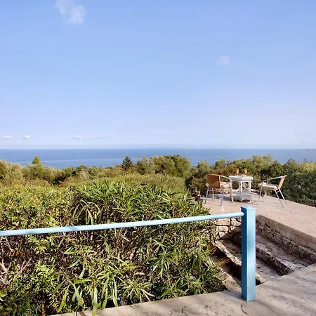 Sira Stonehouse L * Volímai