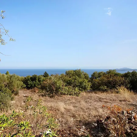 Sira Stonehouse L Volímai